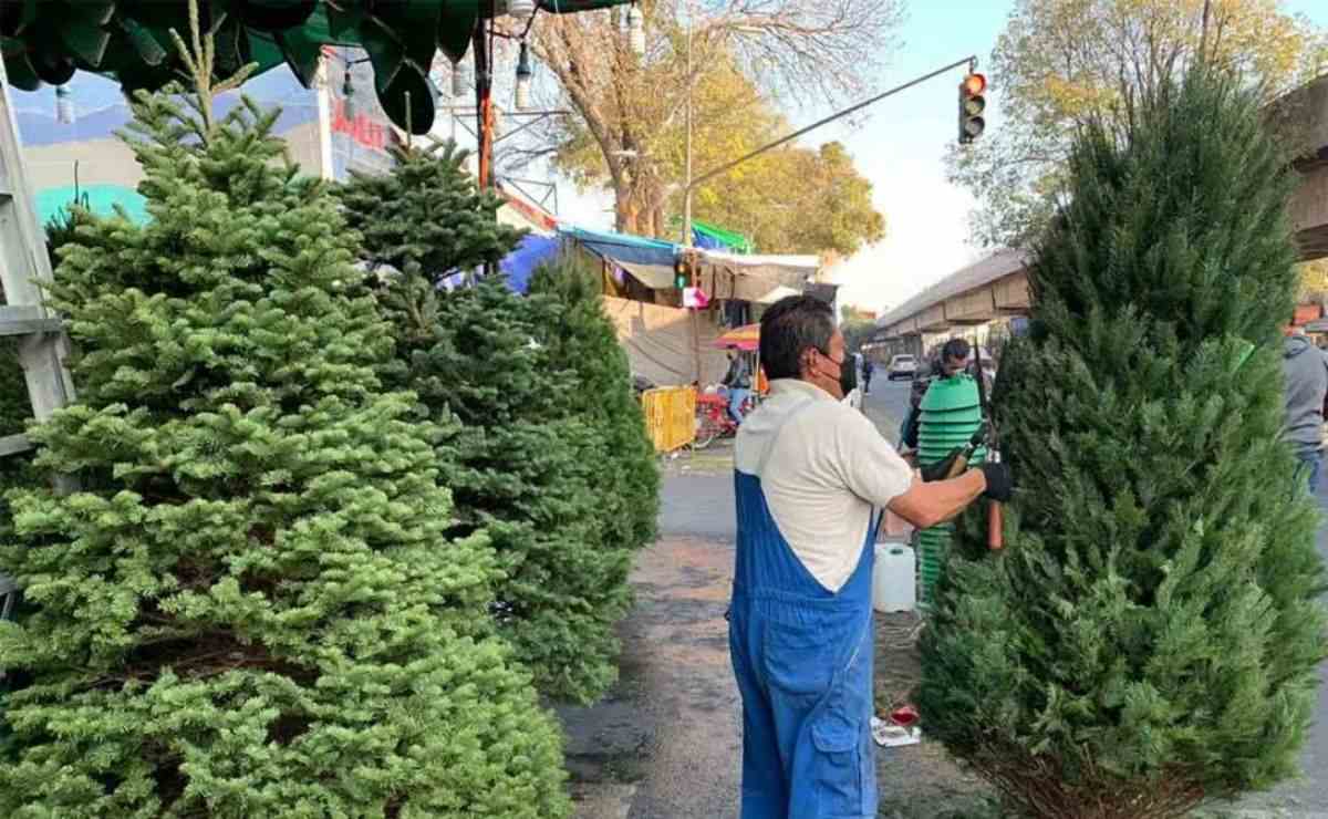 ¿Cuándo debe ponerse el árbol de navidad en México? ¿Cuándo debe ponerse el árbol de navidad en México?